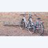 Range 5 vélos mural à 45° -  Mottez B141V